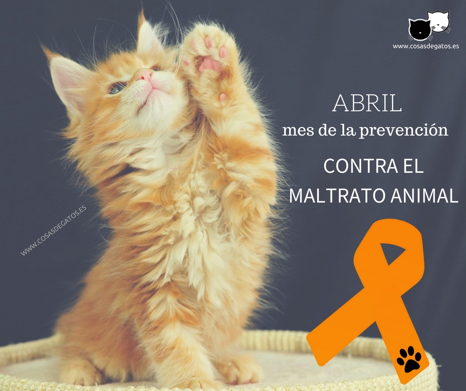 Cartel contra el maltrato animal abril