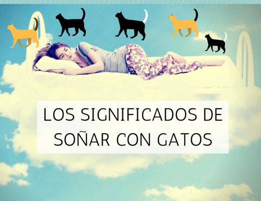 Significado soñar gatos