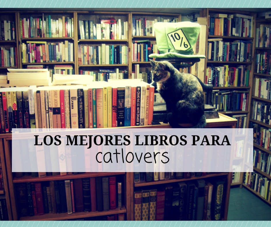 Opiniones libros catlover amantes de los gatos