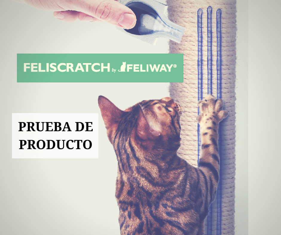 Prueba de producto de Feliscratch por Cosas de Gatos
